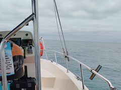 -小猫钓鱼海钓俱乐部(椰梦长廊店)