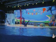 -三亚海昌梦幻海洋不夜城