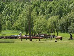 -泸沽湖国家级风景名胜区走婚桥