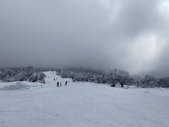-太子岭滑雪场