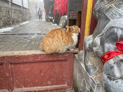 -五台山风景名胜区