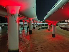 -演武大桥观景平台