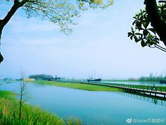 -太湖湖滨国家湿地公园-停车场