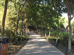 -大兴滨河森林公园