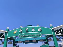 -荷兰花海