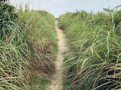 -军营村