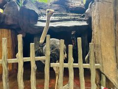 -长鹿旅游休博园