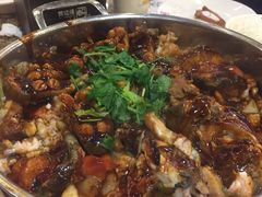 -黄记煌三汁焖锅(裕华万达广场店)