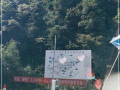 -武陵山森林公园