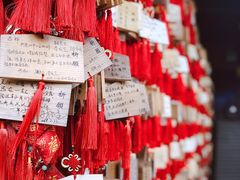 -峨眉山报国寺
