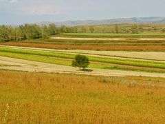 -草原天路(张北县)