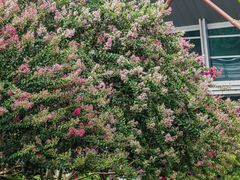 -杭州城北体育公园