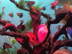 -多彩贵州城极地海洋世界