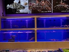 -集品堂·JPC餐厅(青年大街市府店)