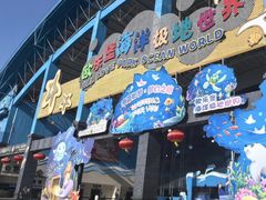 -泉城欧乐堡海洋极地世界