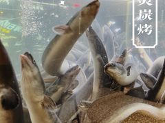 -本炙炭烤·蒲烧活鳗料理店(金沙洲店)