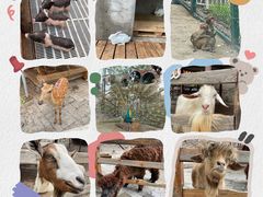 -北京鹿世界主题园