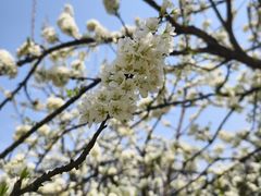 -花果园湿地公园