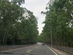 -田心森林公园