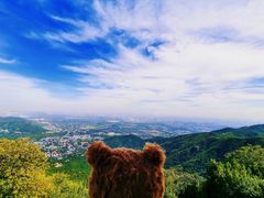 -香山公园