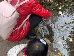 -重庆彩云湖湿地公园