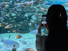 -海合安成都极地海洋公园