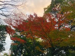 -新高轮格兰王子大酒店