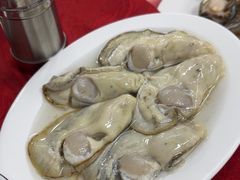 -花苑美食横琴生蚝火锅(拱北粤华路店)