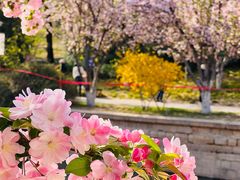 -元大都城垣遗址公园