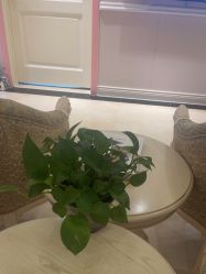 -北京俪婴妇产医院(朝阳大悦城店)