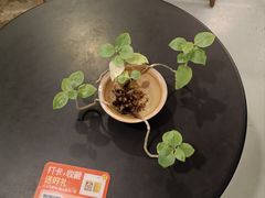 -唐咖精品咖啡(大理古城手冲店)