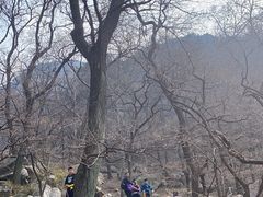 -泰山风景名胜区