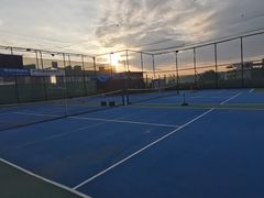 -君成体育|网球培训(蛇口校区)