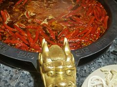 -蜀大侠火锅(建设路第五大道店)