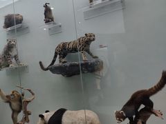 -国家自然博物馆