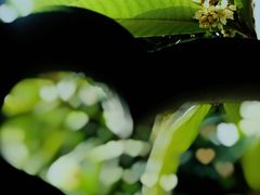 -雨花胜境