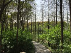 -新江湾城公园