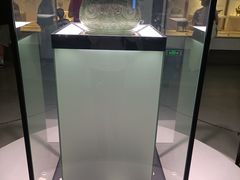 -镇江博物馆
