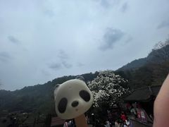 -青城山