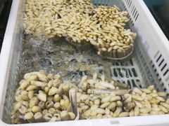 -盒马鲜生(宝地店)