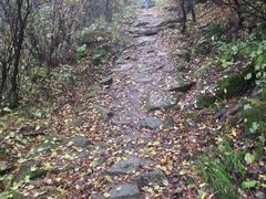android_upload_pic-终南山古楼观历史文化景区