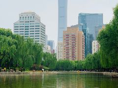 -团结湖公园