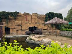 -沈阳森林动物园