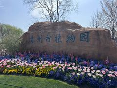-苏州上方山国家森林公园