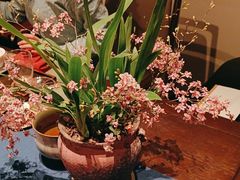 -阿五黄河大鲤鱼(建业路店)