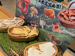 -季季山•云南野生菌火锅(上海首店)