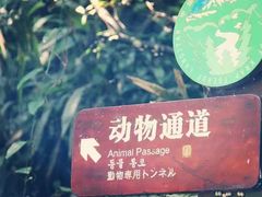 -龙湾潭国家森林公园