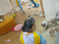 -1013 PET SHOP精品宠物商店(丁香店)