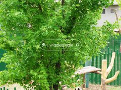 -沈阳森林动物园