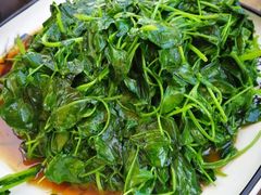 菊花菜-美味之家·湖景农家乐(太湖东山店)